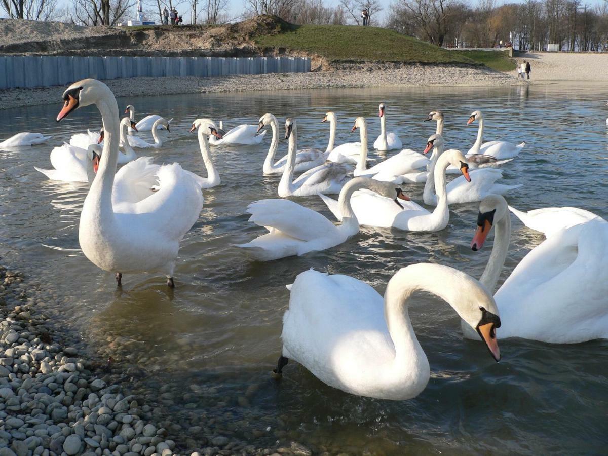 Calla Apartment Zagreb - Novi Apartman, Garaza, Video Nadzor Eksteriør billede